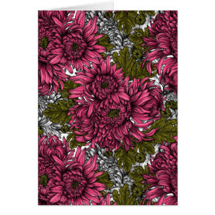 Pink chrysanthemum flowers