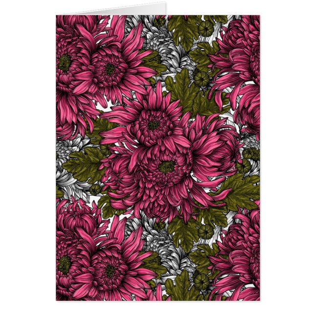 Pink chrysanthemum flowers (Front)