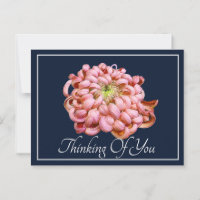 Pink Chrysanthemum Navy Background Thinking Of You