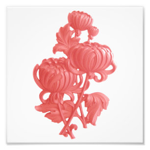 Pink Chrysanthemum Photo Print