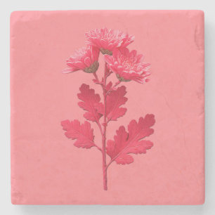 Pink Chrysanthemum  Stone Coaster
