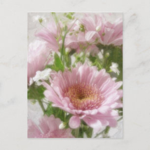 Pink Chrysanthemums 5 Elegance Postcard