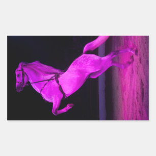 Pink Circus Horse Sticker