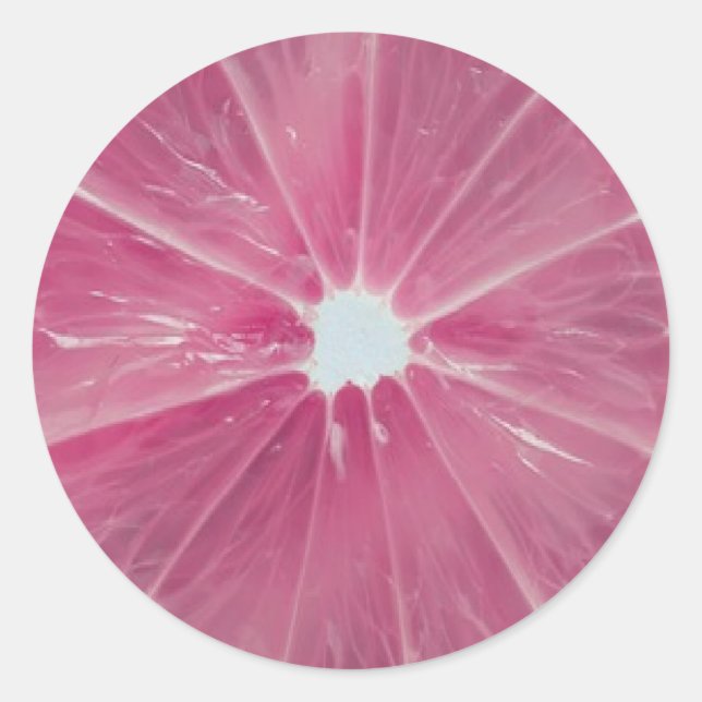 Pink citrus fruit classic round sticker (Front)