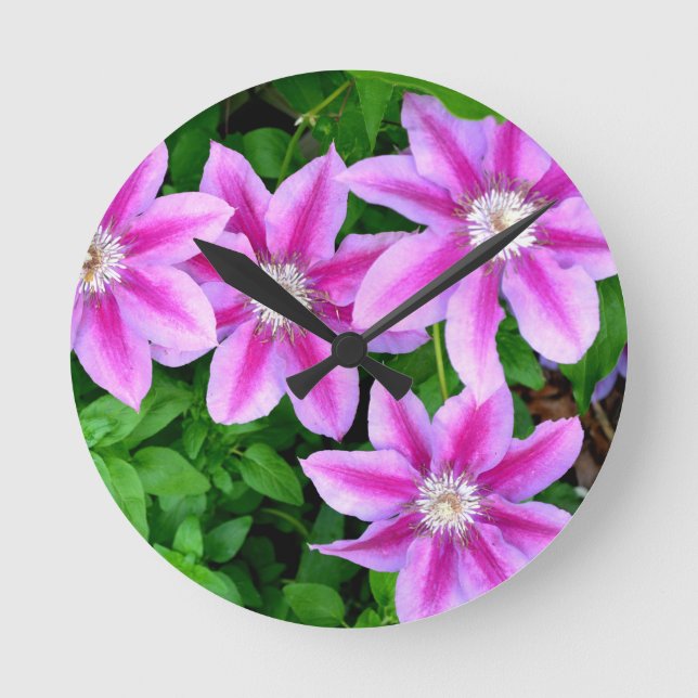 Pink Clematis  and wild Oregano Round Clock (Front)