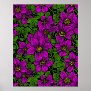 Pink Clematis vine Poster