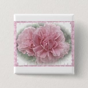 Pink Climbing Rose Blossoms 2 Inch Square Button