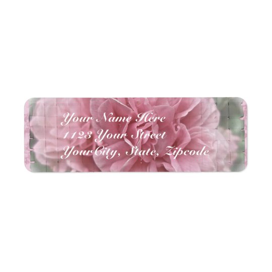 Pink Climbing Rose Blossoms Return Address Label
