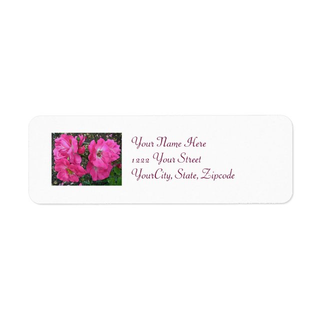 Pink Climbing Rose Return Address Label (Front)