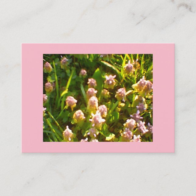 Pink Clover Business Card (Front)