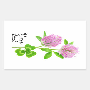 Pink clover sticker