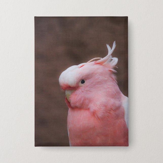 Pink Cockatoo (Front)