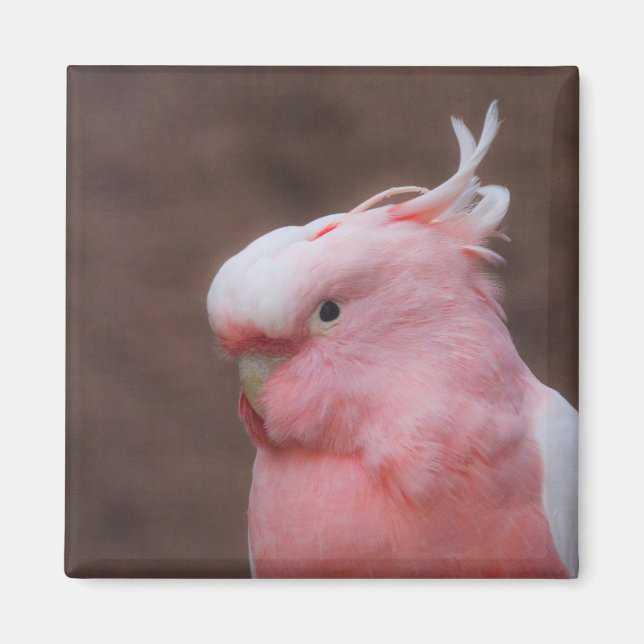 Pink Cockatoo Magnet (Front)