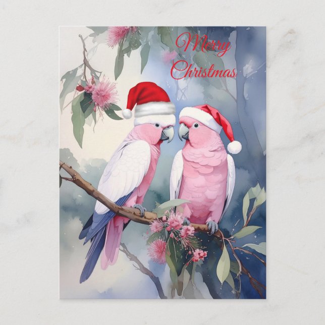 Pink Cockatoos Santa Hat Merry Christmas Postcard (Front)