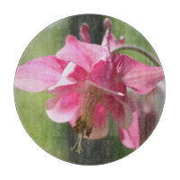 Pink Columbine Flower
