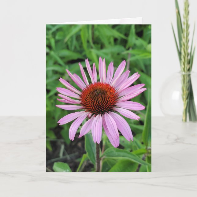 Pink Cone Flower Card (Front)