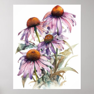 Pink Coneflower Flower Art Print Poster