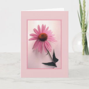 Pink Coneflower Greeting Card