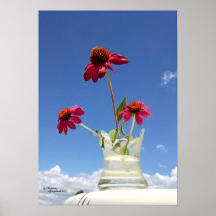 Pink coneflowers flowers Poster