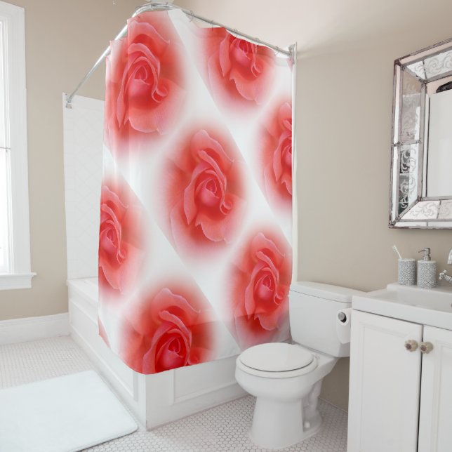 pink coral rose (In Situ)