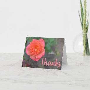 Pink Coral Rose Flower Photography Thank You Card