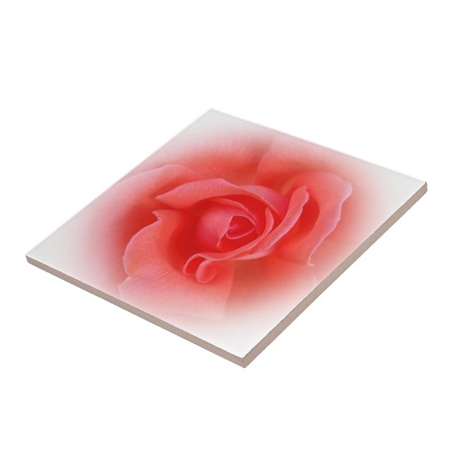 pink coral rose tile (Side)