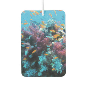 Pink Coral with Orange Fish Air Freshener