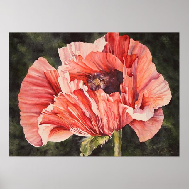 Pink Corn Poppy Botanical Poster Canvas Print (Front)