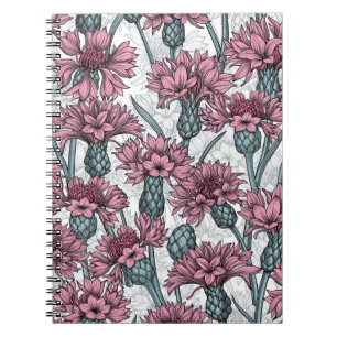 Pink cornflowers, wild flowers on white notebook