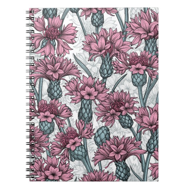 Pink cornflowers, wild flowers on white notebook (Front)
