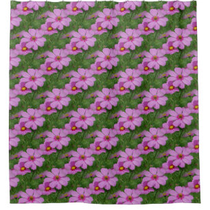 Pink Cosmos Flower Nature Pattern