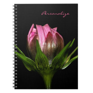 Pink Cosmos Flower With Name Notebook