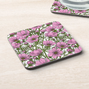 Pink Cosmos flowers Coaster
