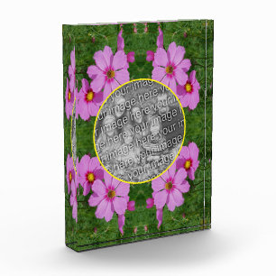 Pink Cosmos Flowers Frame Add Your  Photo Block