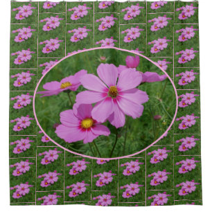 Pink Cosmos Flowers Pattern