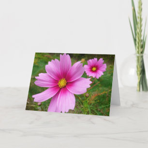 Pink Cosmos Flowers Wildflower Card
