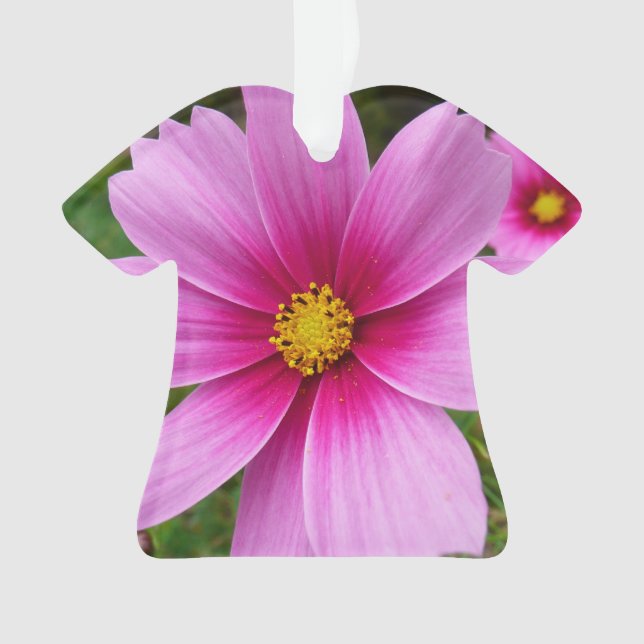 Pink Cosmos Flowers Wildflower Ornament (Front)