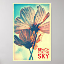 Pink Cosmos Reach for the Sky Quote