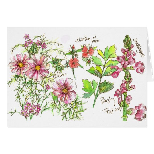 Pink Cosmos Snapdragon Journal Blank Note Card