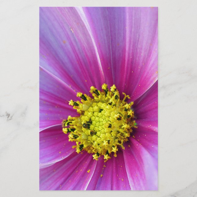 Pink Cosmos Stationery (Front)