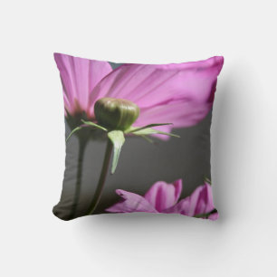 Pink Cosmos Summer days Pillow