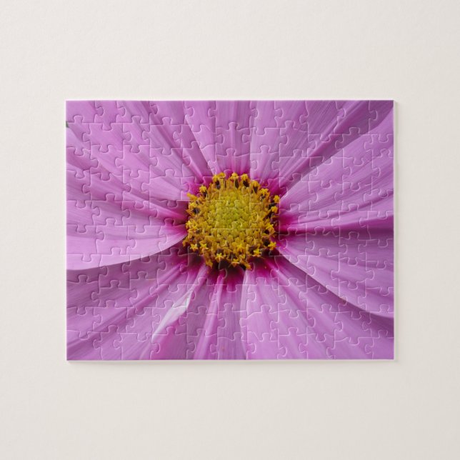 Pink Cosmos Wildflower Floral Jigsaw Puzzle (Horizontal)