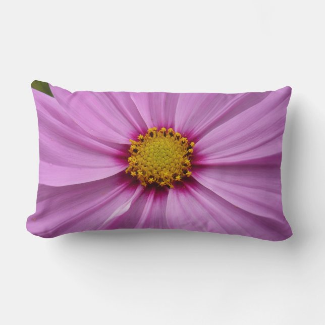 Pink Cosmos Wildflower Floral Lumbar Pillow (Front)