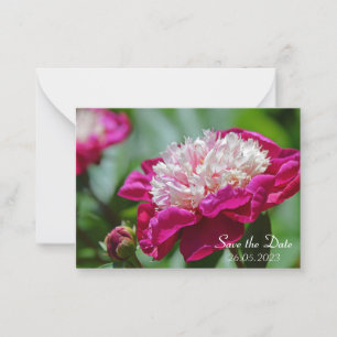 Pink Cottage Peony Botanical Flower  Card