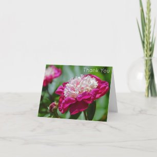 Pink Cottage Peony Garden Flower Thank You Card