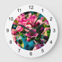 Pink Crab Apple Flowers