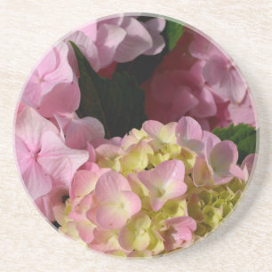 Pink Cream Hydrangeas yellow pink green floral Coaster