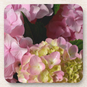 Pink Cream Hydrangeas yellow pink green floral  Coaster