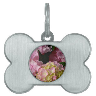 Pink Cream Hydrangeas yellow pink green floral  Pet Name Tag