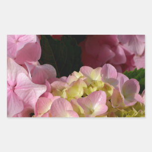 Pink Cream Hydrangeas yellow pink green floral  Sticker
